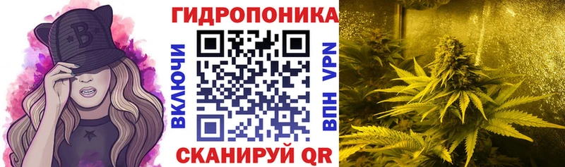 наркотики Губкин Бошки Шишки OG Kush